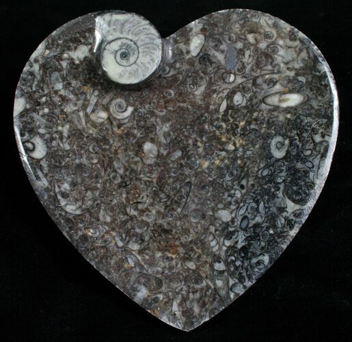 Heart Shaped Fossil Goniatite Dish #4949